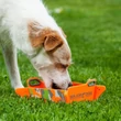 MajorDog - Folding food bowl