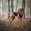 EZYDOG Thermax Vest kutyamellény XL