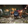 EZYDOG ZERO SHOCK póráz bővítő - 61cm