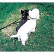 EZYDOG Soft Touch Coupler Lite páros póráz bővítő