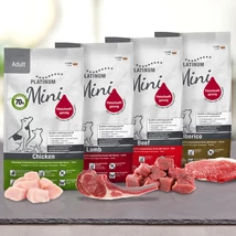 Adult 4 Mindenből 900 g!