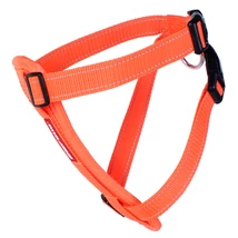 EZYDOG CHEST PLATE hám