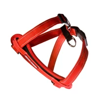 EZYDOG CHEST PLATE hám